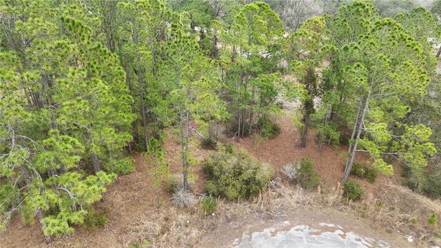 1256 WAHNETA DRIVE, Kissimmee, FL 34759