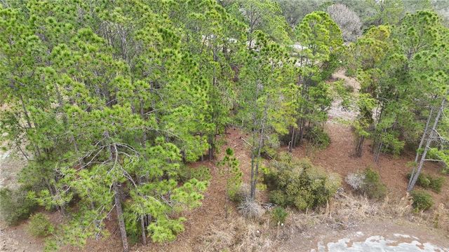 1256 WAHNETA DRIVE, Kissimmee, FL 34759