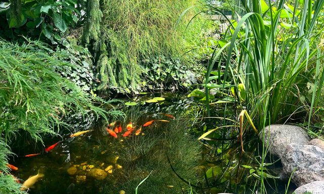 3210 QUAIL RIDGE Road, Bettendorf, IA 52722