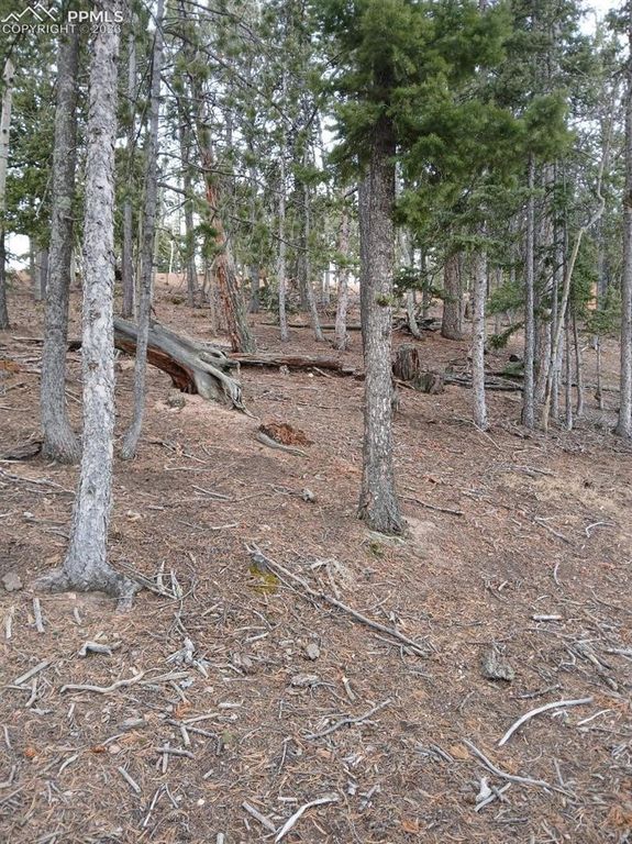 495 Wakanda Trail, Woodland Park, CO 80863 — exterior