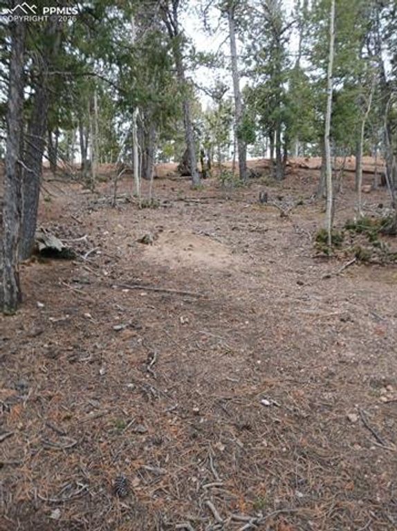 495 Wakanda Trail, Woodland Park, CO 80863 — photo 2