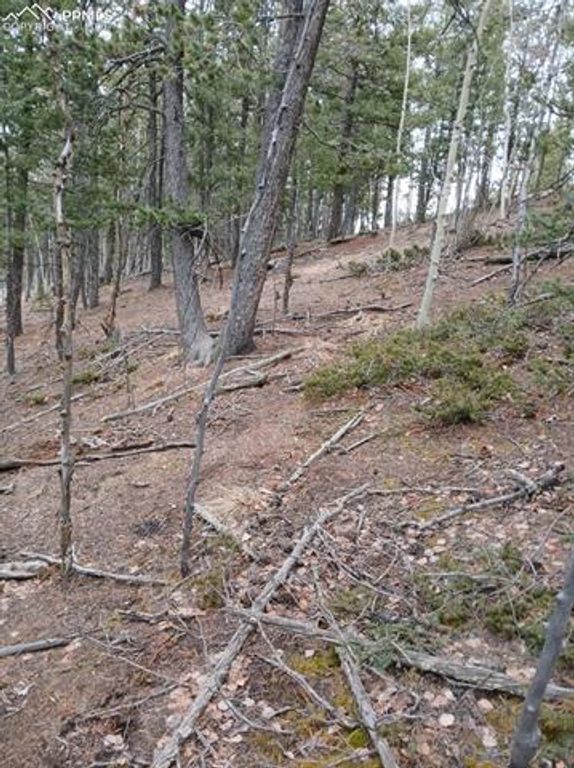 495 Wakanda Trail, Woodland Park, CO 80863 — photo 3