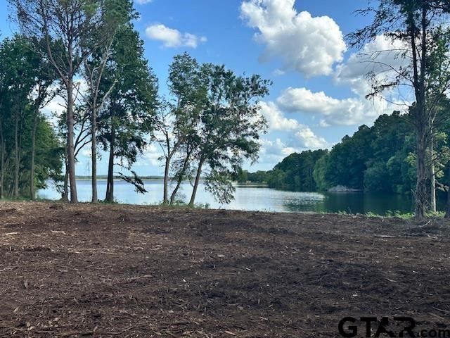 Lot 111 Oak River, Frankston, TX 75763