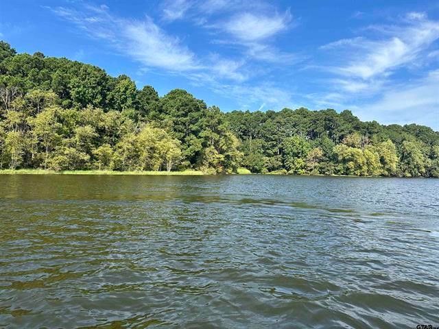 Lot 111 Oak River, Frankston, TX 75763