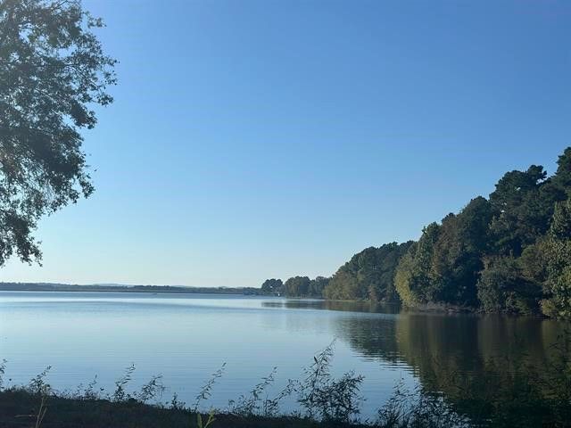 Lot 111 Oak River, Frankston, TX 75763