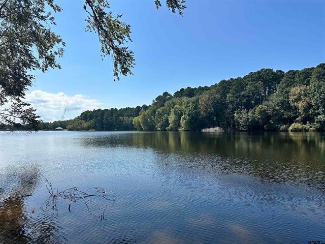 Lot 111 Oak River, Frankston, TX 75763