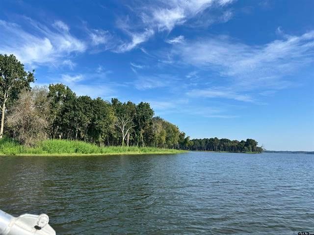 Lot 111 Oak River, Frankston, TX 75763