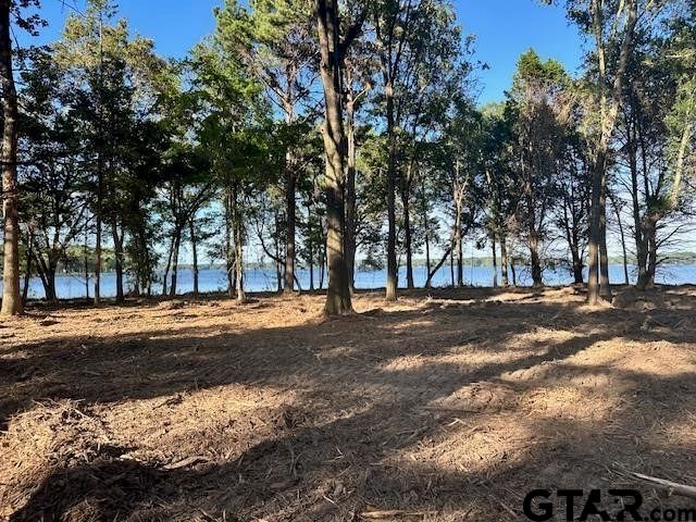 Lot 111 Oak River, Frankston, TX 75763