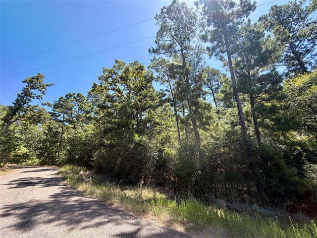 TBD Lori Drive, Trinity, TX 75862