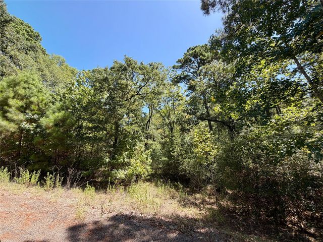 TBD Lori Drive, Trinity, TX 75862