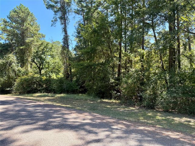 TBD Lori Drive, Trinity, TX 75862