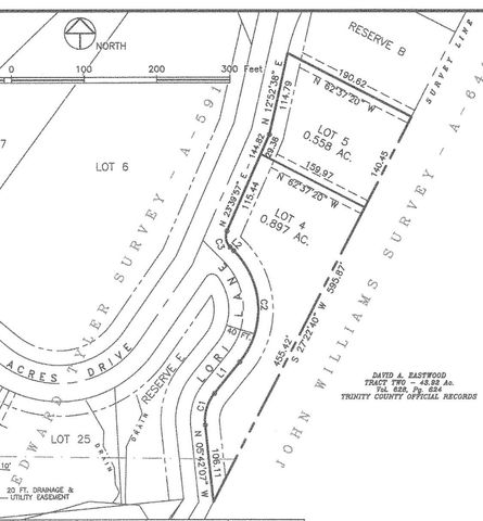 TBD Lori Drive, Trinity, TX 75862