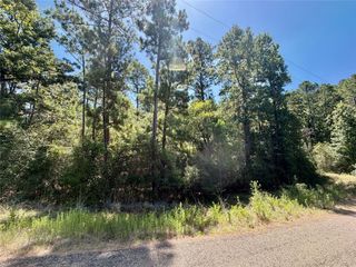 TBD Lori Drive, Trinity, TX 75862