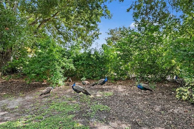 2400 INDIGO DR, Clearwater, FL 33763