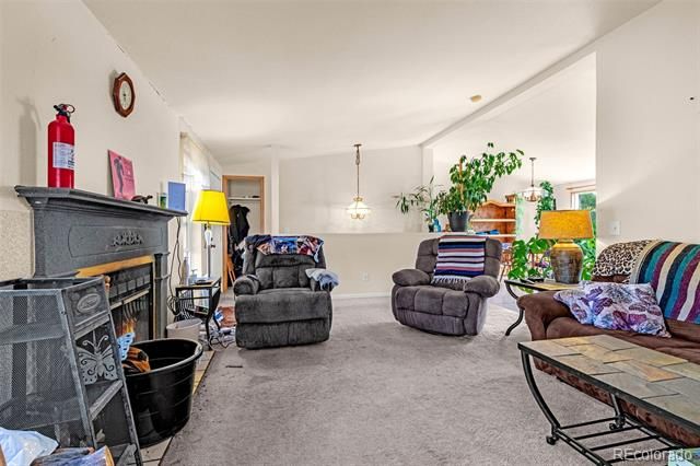 1528 County Road 1, Cripple Creek, CO 80813