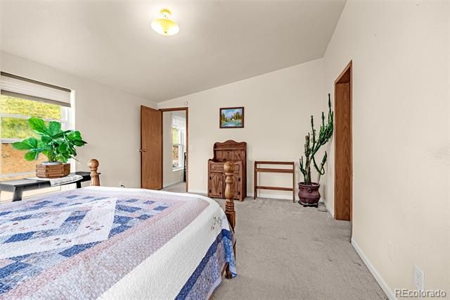 1528 County Road 1, Cripple Creek, CO 80813