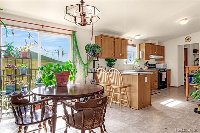1528 County Road 1, Cripple Creek, CO 80813