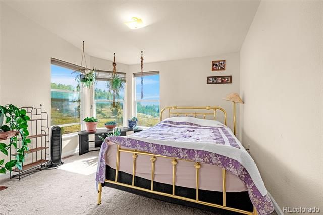1528 County Road 1, Cripple Creek, CO 80813