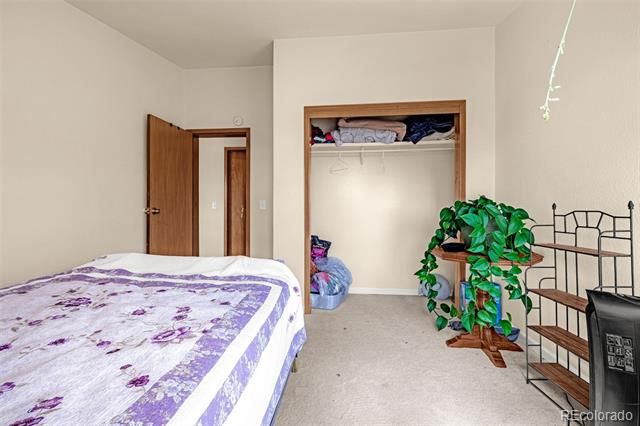 1528 County Road 1, Cripple Creek, CO 80813