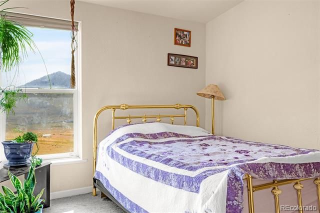 1528 County Road 1, Cripple Creek, CO 80813