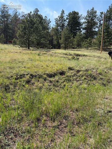 39 Rabbil Creek Trail, Florissant, CO 80816