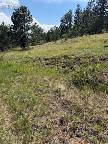 39 Rabbil Creek Trail, Florissant, CO 80816