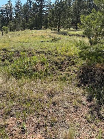 39 Rabbil Creek Trail, Florissant, CO 80816