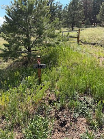 39 Rabbil Creek Trail, Florissant, CO 80816