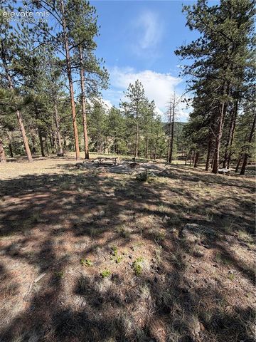 39 Rabbil Creek Trail, Florissant, CO 80816