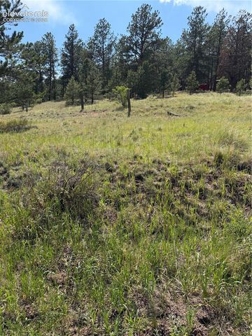 39 Rabbil Creek Trail, Florissant, CO 80816