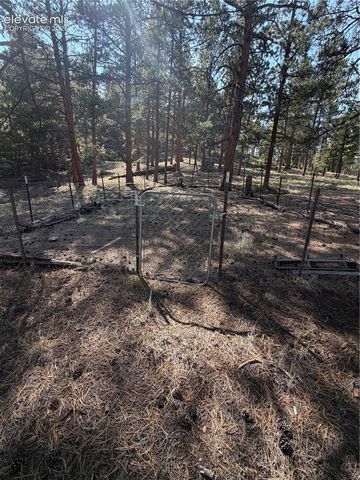 39 Rabbil Creek Trail, Florissant, CO 80816