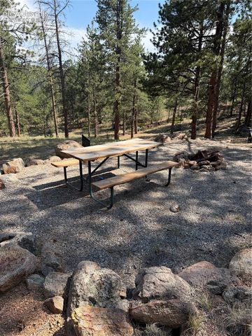 39 Rabbil Creek Trail, Florissant, CO 80816