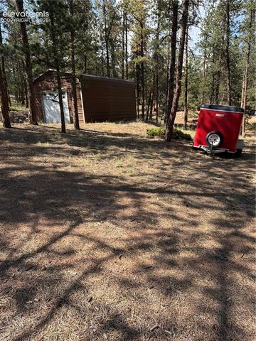 39 Rabbil Creek Trail, Florissant, CO 80816