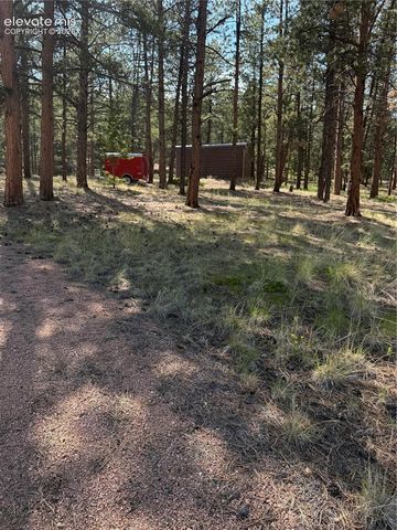 39 Rabbil Creek Trail, Florissant, CO 80816