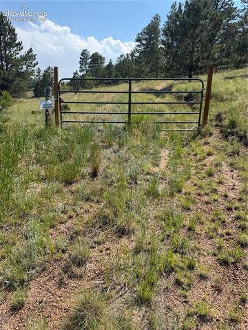 39 Rabbil Creek Trail, Florissant, CO 80816