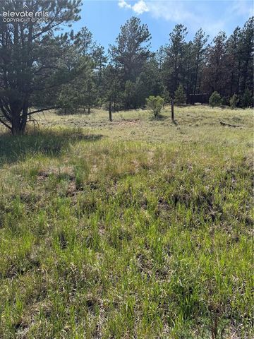 39 Rabbil Creek Trail, Florissant, CO 80816