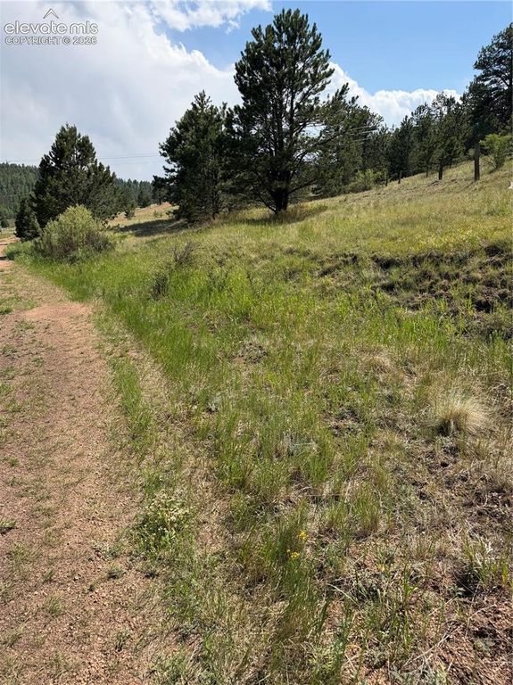 39 Rabbil Creek Trail, Florissant, CO 80816