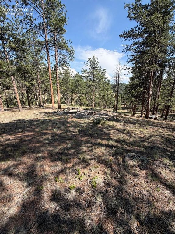 39 Rabbil Creek Trail, Florissant, CO 80816 — photo 2