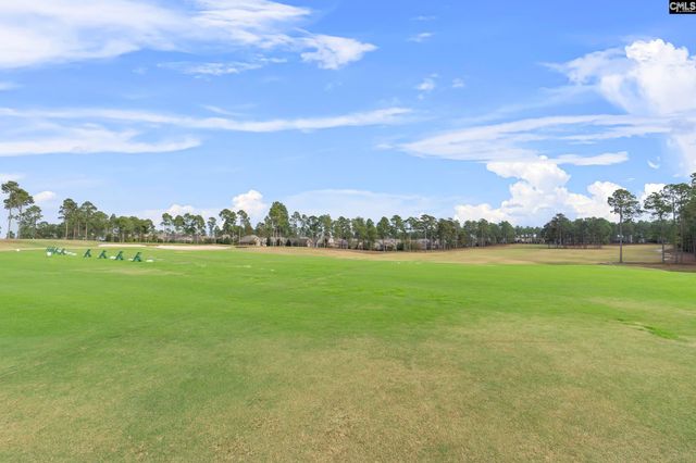 209 Mary Locke Court, Elgin, SC 29045