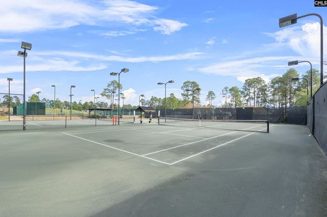 209 Mary Locke Court, Elgin, SC 29045