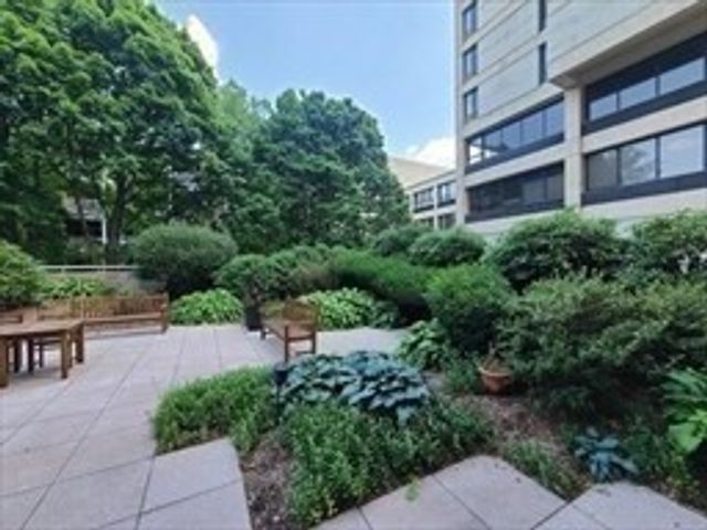 931 Massachusetts Ave 303, Cambridge, MA 02139