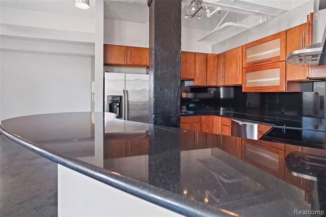 2233 Park Avenue 5A, Detroit, MI 48201