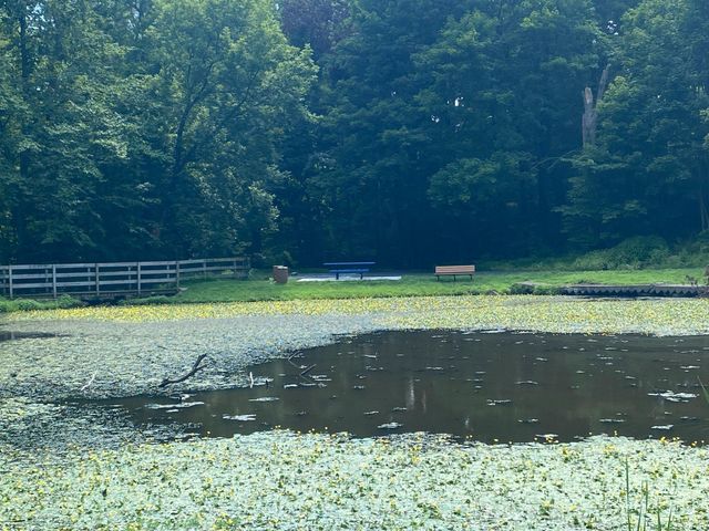 2181 YERGER RD, Pottstown, PA 19464