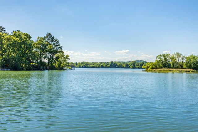 149 Ledford Lane, Decatur, TN 37322