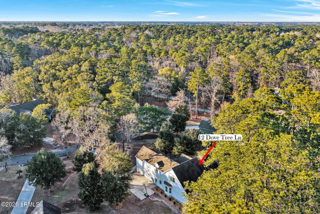 12 Dove Tree Lane, Bluffton, SC 29910