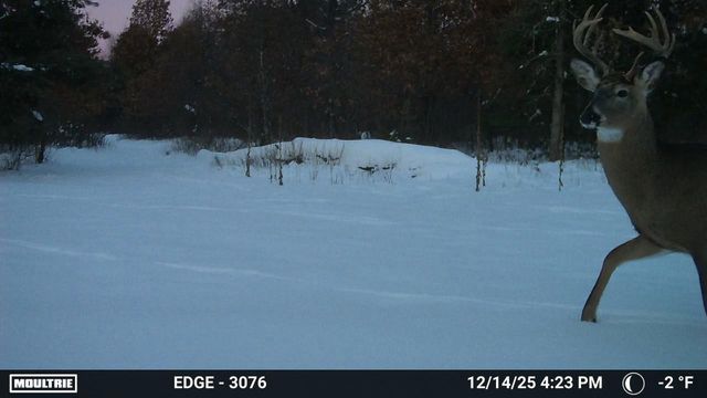 12565 Bell Road, Wisconsin Rapids, WI 54494