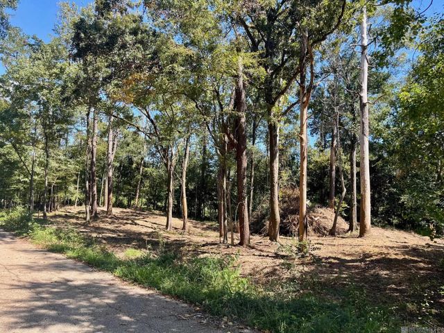 16114 Chaumont Ave, Central, LA 70739