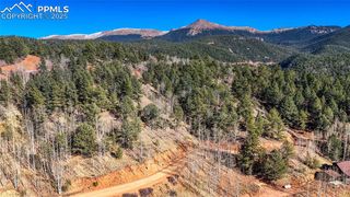 741 Pikes Peak Drive, Divide, CO 80814