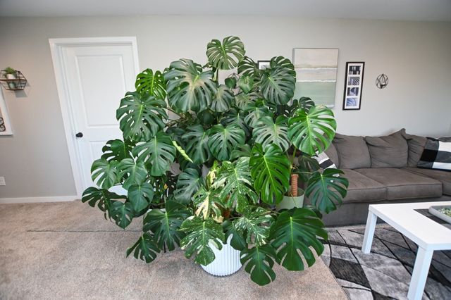 1807 Wycliffe Court SW, Cedar Rapids, IA 52404