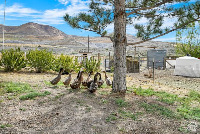 13585 N 10000 W, Tremonton, UT 84337